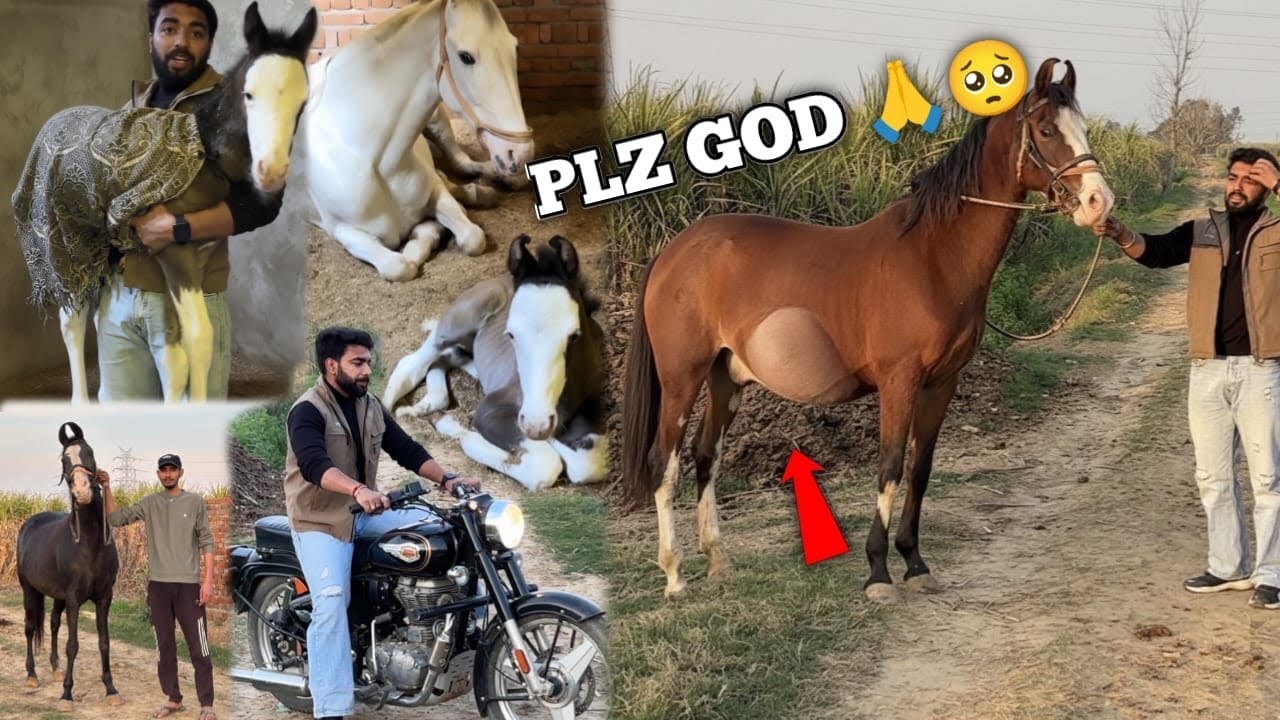 Bhagwan Sab Kuch Sahi Kardo🥺🙏🏻Apsara Ka Baccha Utha Liya💪🏻Abhinetri Baccha Dene Se Phele Kya krri h😨