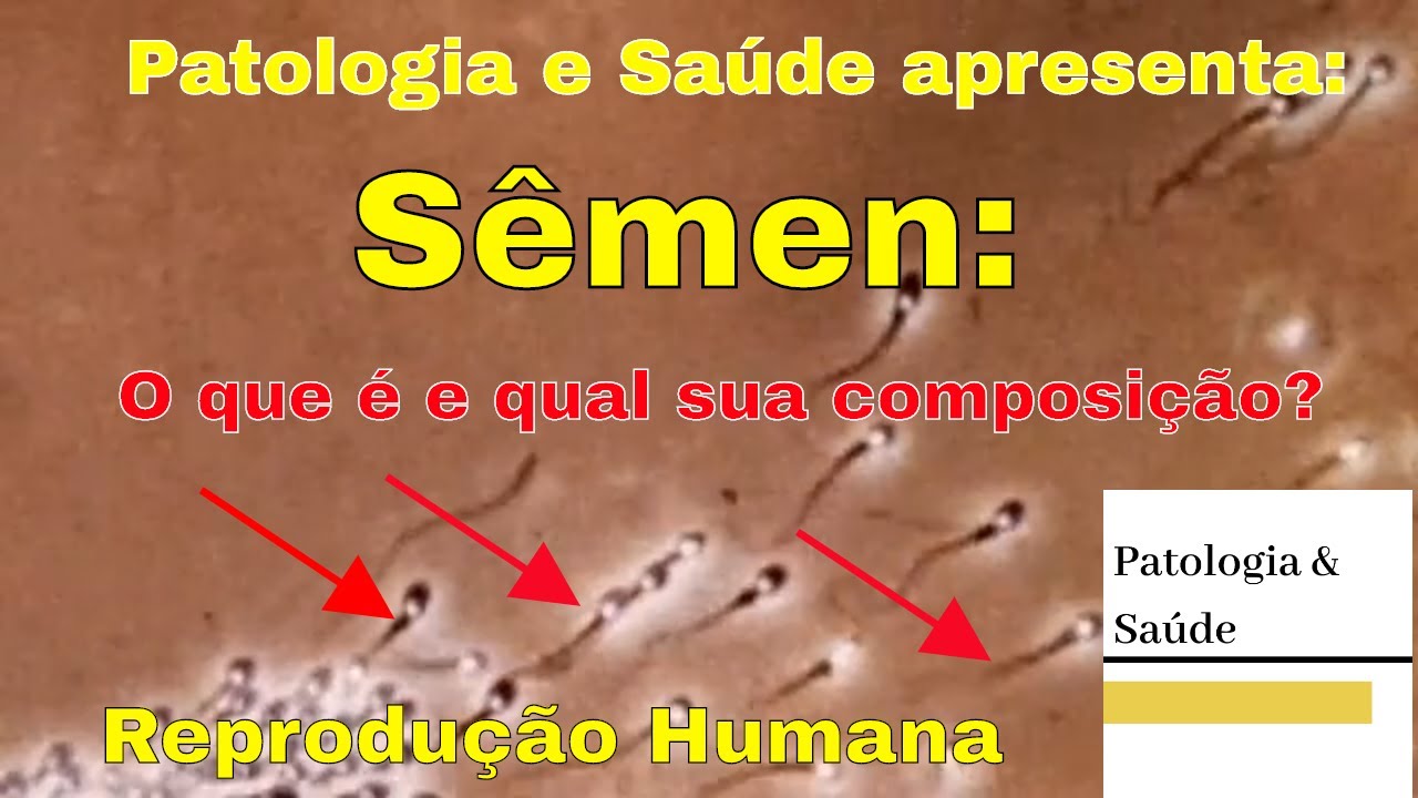 Reprodução Humana: Sêmen o que é e qual a sua composição?