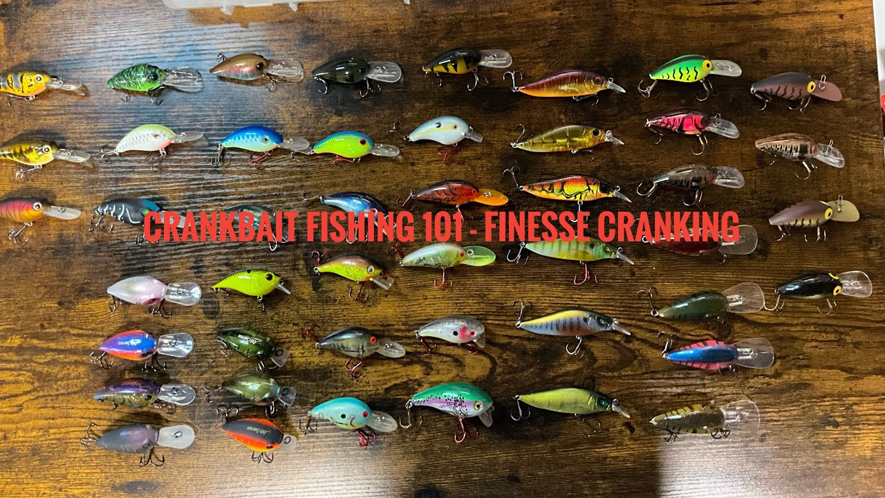 Bass Fishing 101 - Crankbait Fishing - Finesse Cranking