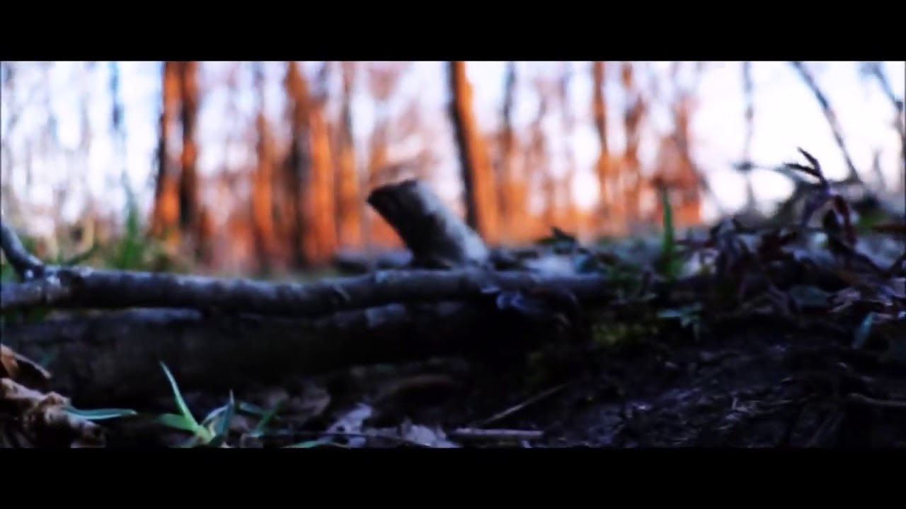 Beauty of Nature Canon rebel Sl2 200D test footage