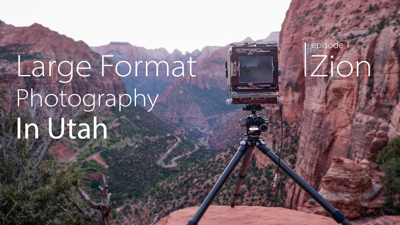 Large Format Photography in Zion National Park