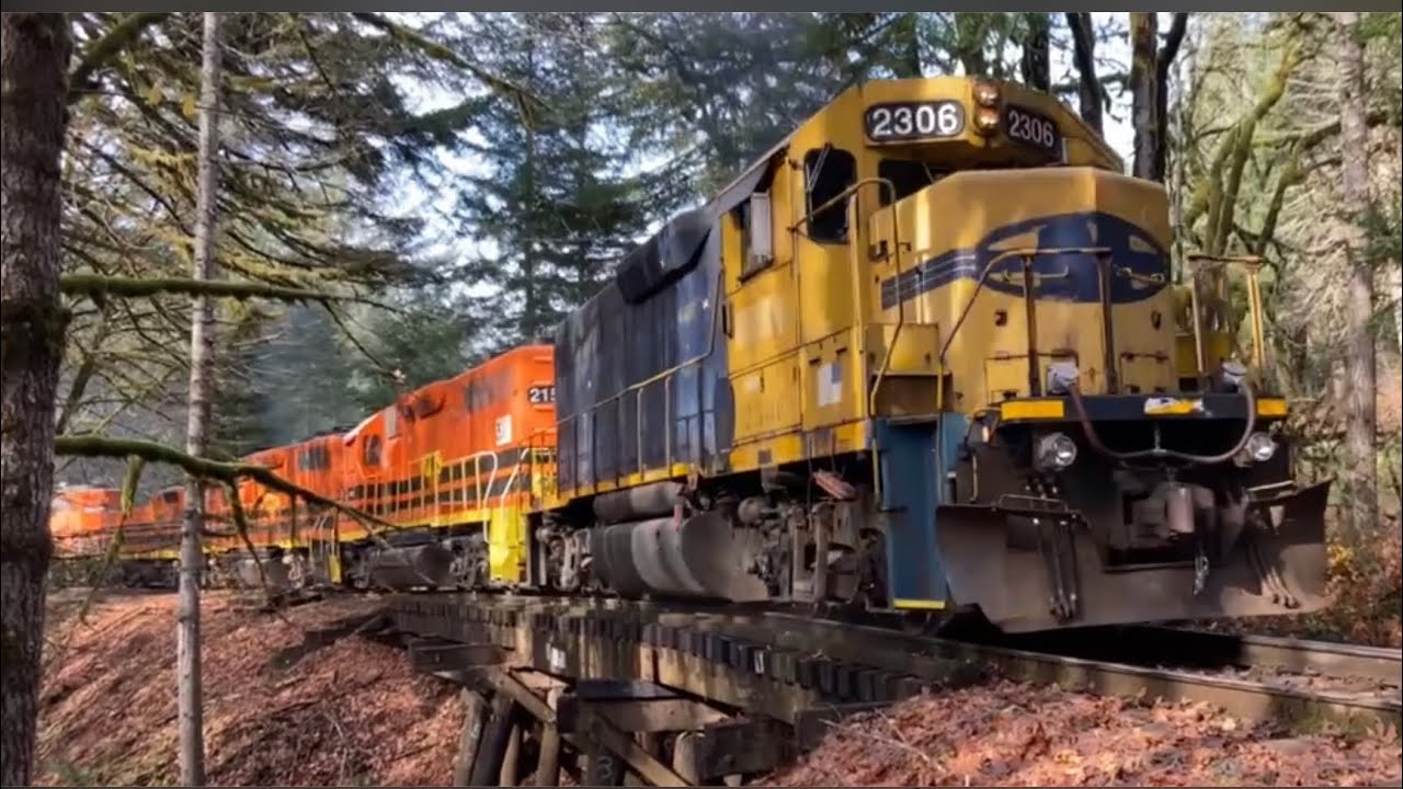 Portland & Western Toledo Branch Fall Foliage