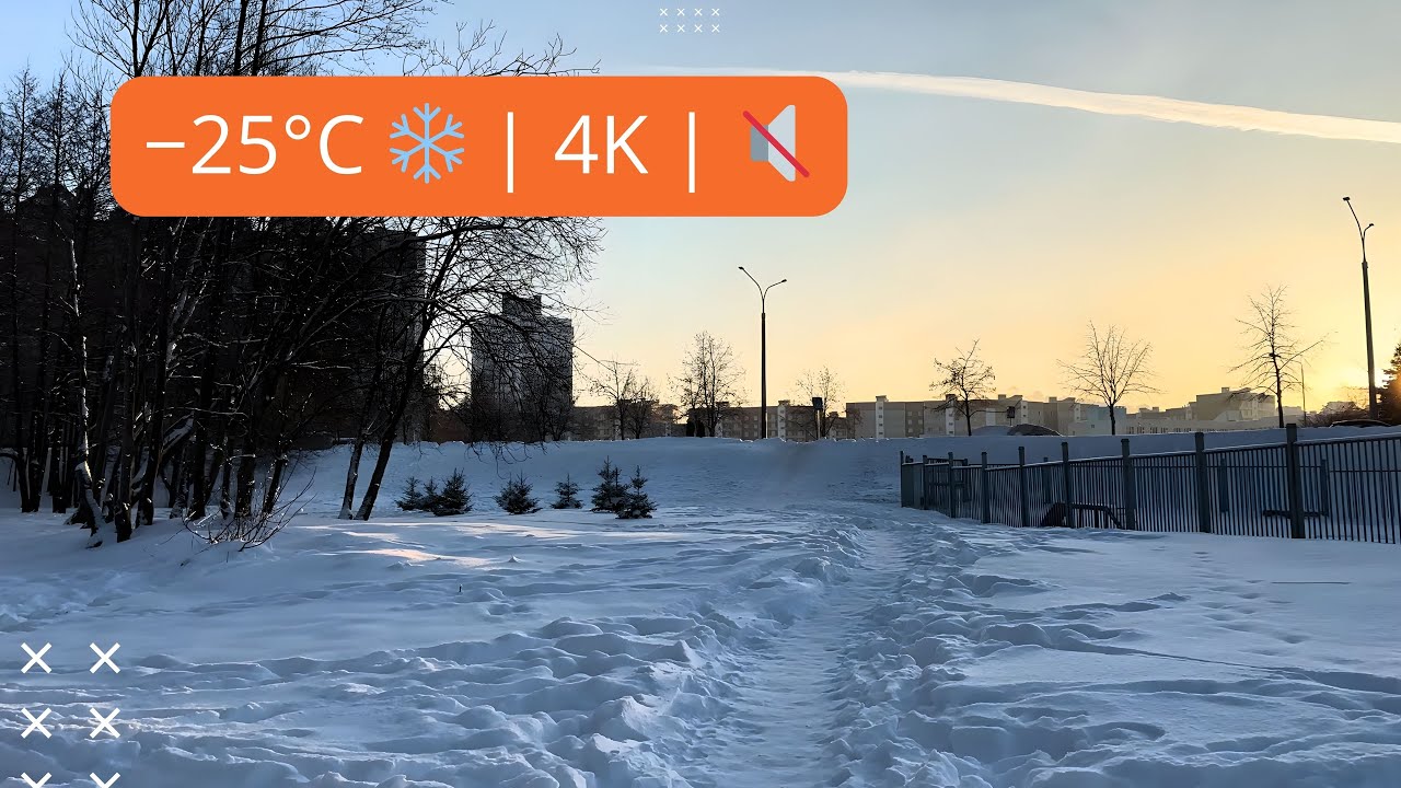 Зимняя прогулка в −25°C ❄️ прогулка по парку  со звуками природы | 4K