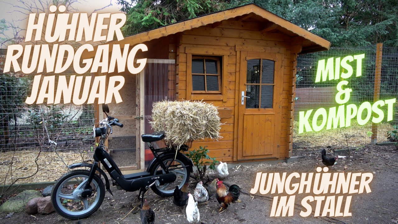 Hühner Rundgang Januar - Eingewöhnung von Jungtieren, Kompostierung von Hühnermist, Eier im Winter