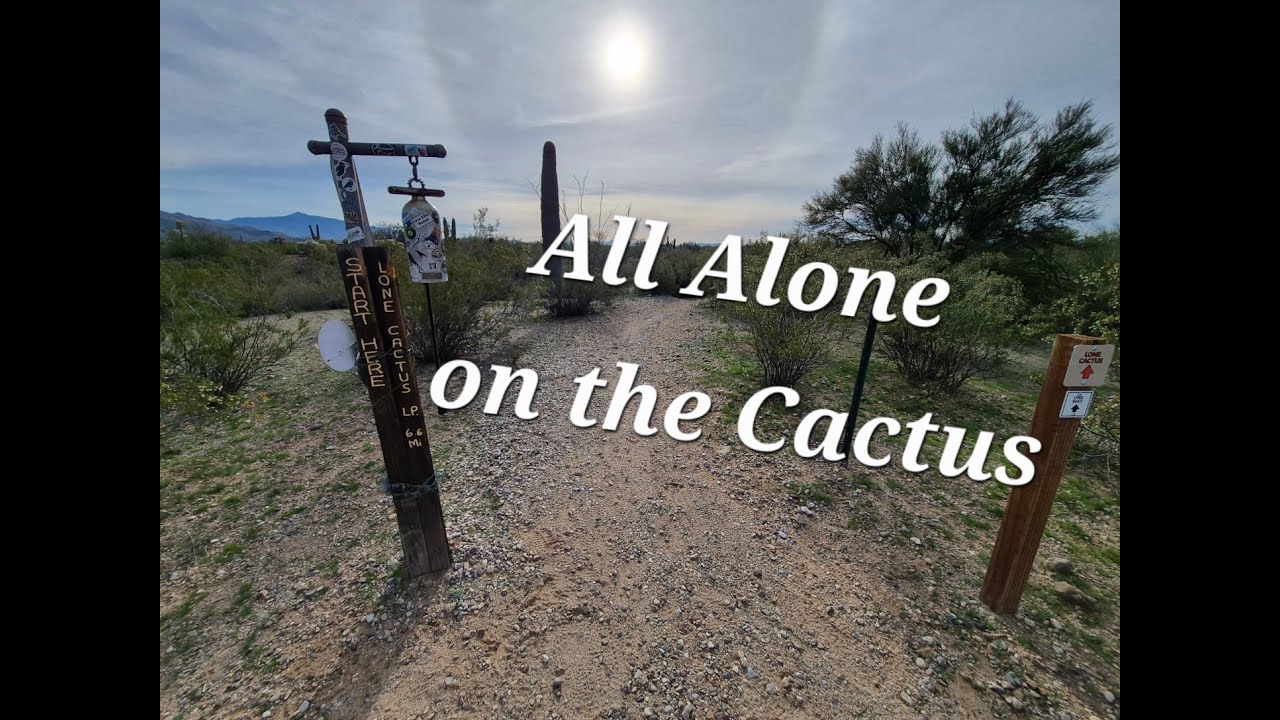 Lone Cactus, at Fantasy Island MTB Park