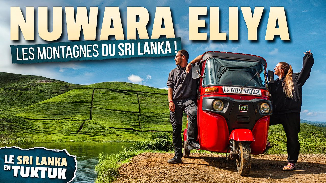 AU CŒUR DES MONTAGNES ET DES PLANTATIONS DE THÉ  ! - (Nuwara Eliya, Sri Lanka) #59