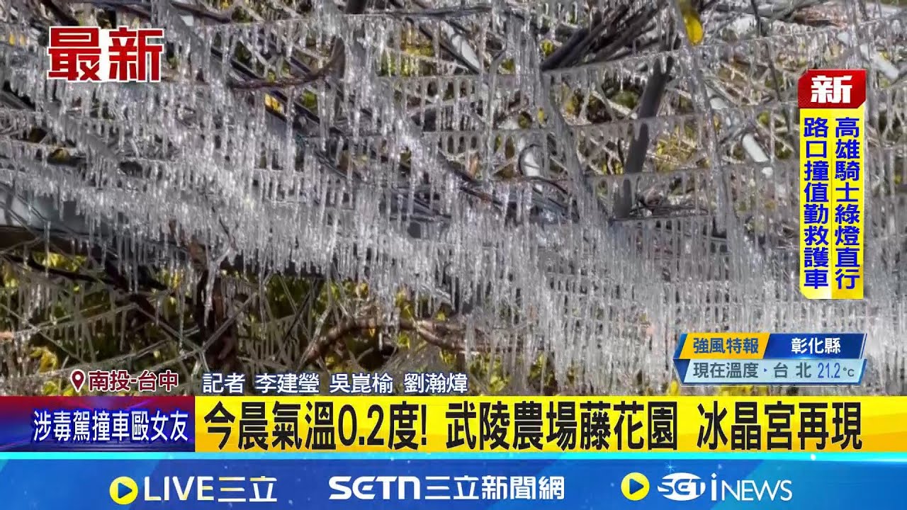 三色漸層! 杉林溪水杉轉金黃色 雲海琉璃光如畫 今晨氣溫0.2度! 武陵農場藤花園 冰晶宮再現│記者 李建瑩 吳崑榆│新聞一把抓20251207│三立新聞台