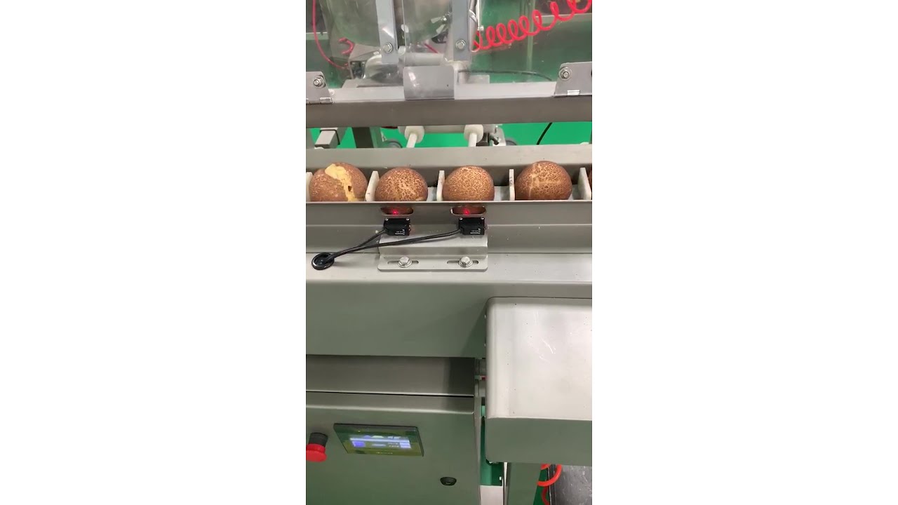 Depositor Solutions Beldos Betec Doughnut Process Equipment