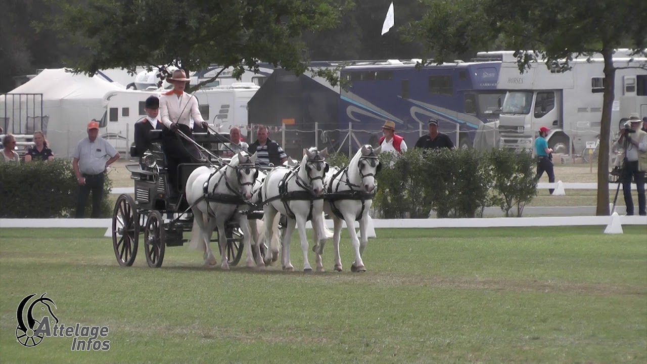 Edith CHARDON   Ned   Dressage   FEI DPWC KISBER 2019