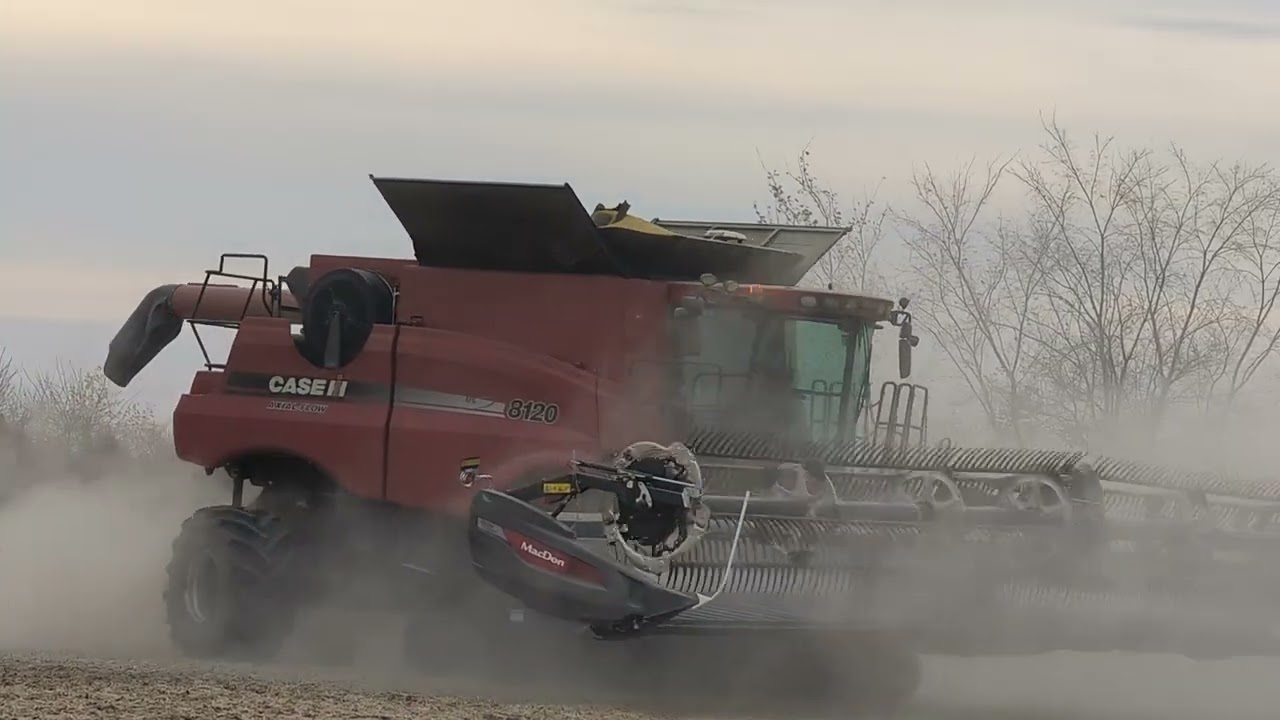 Late Afternoon Double Red Dust - CASE IH Axial-Flow® 8120 & 8240 - 8320RT - J&M 750 #harvestchaser