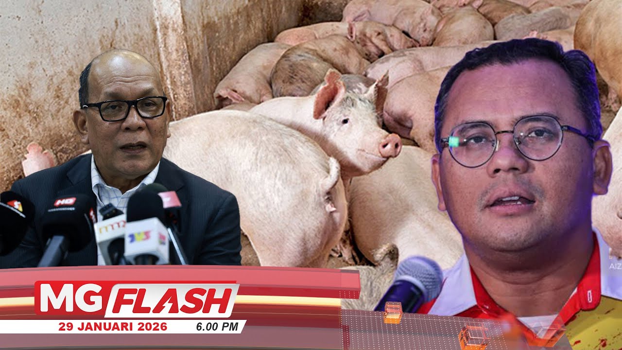 Penutupan Ladang Babi Di Kuala Langat Dipercepat Tahun Ini 