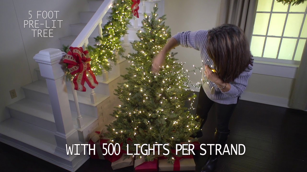Cluster & Snake Christmas Lights by RAZ Imports at Shelley B