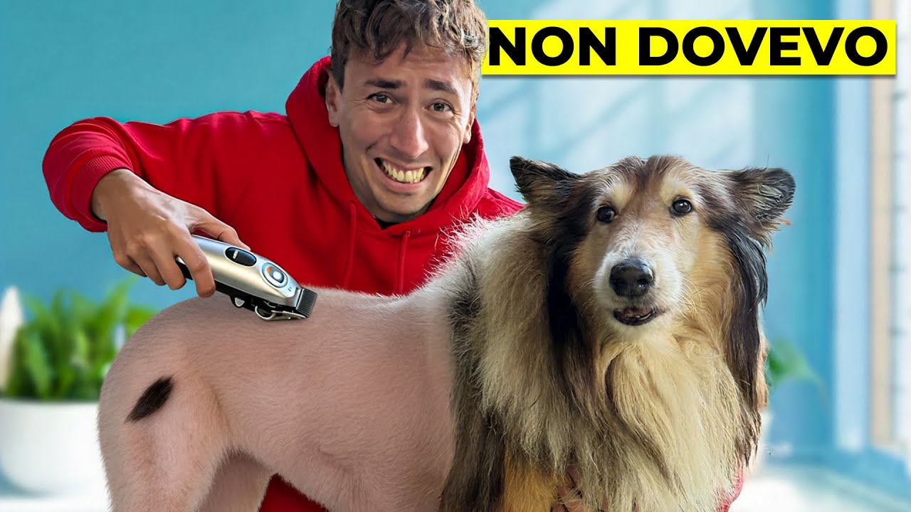 😱 NON fare MAI questi scherzi ai tuoi CANI..