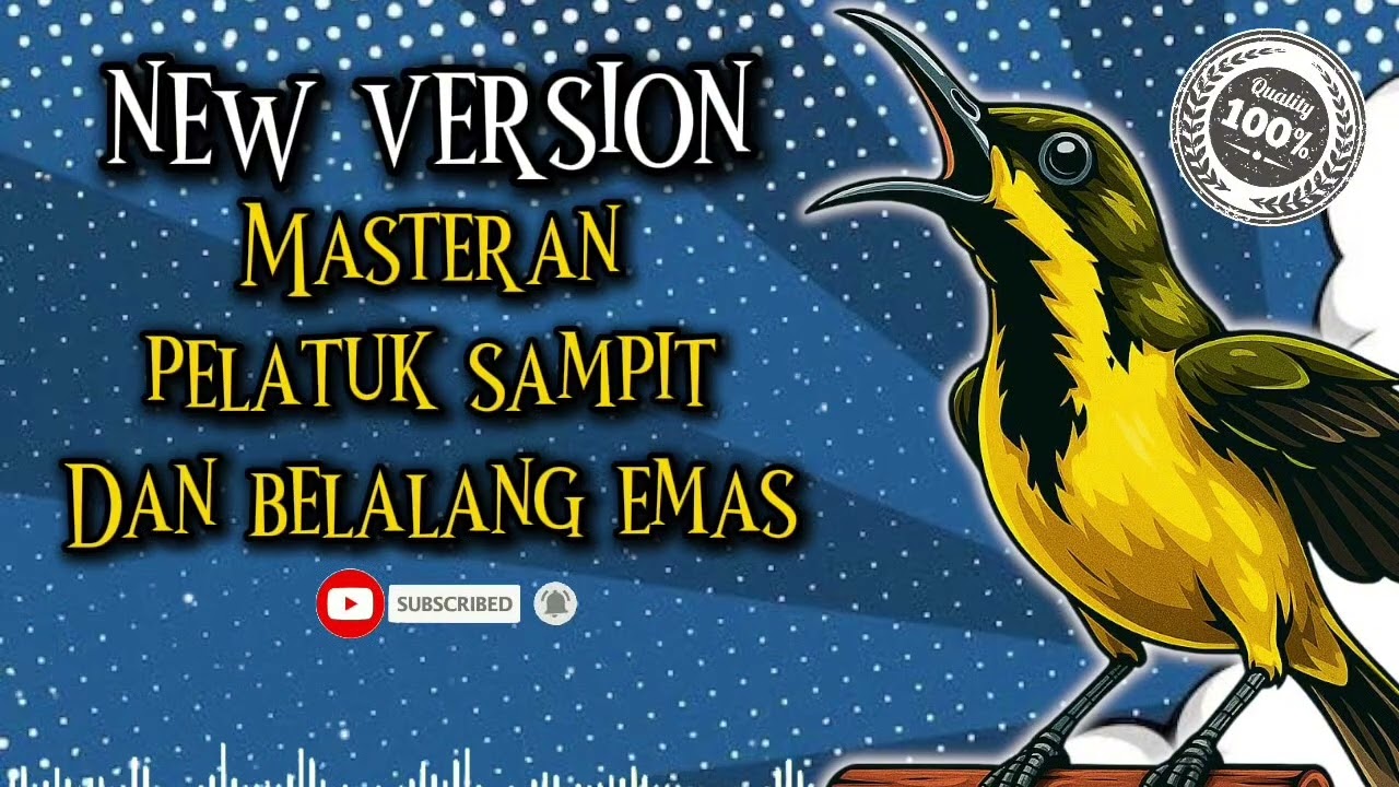 MASTERAN SOGON KONIN PELATUK SAMPIT MIX BELALANG EMAS SUPER JERNIH #sogon #sogongacor #sogokontong 