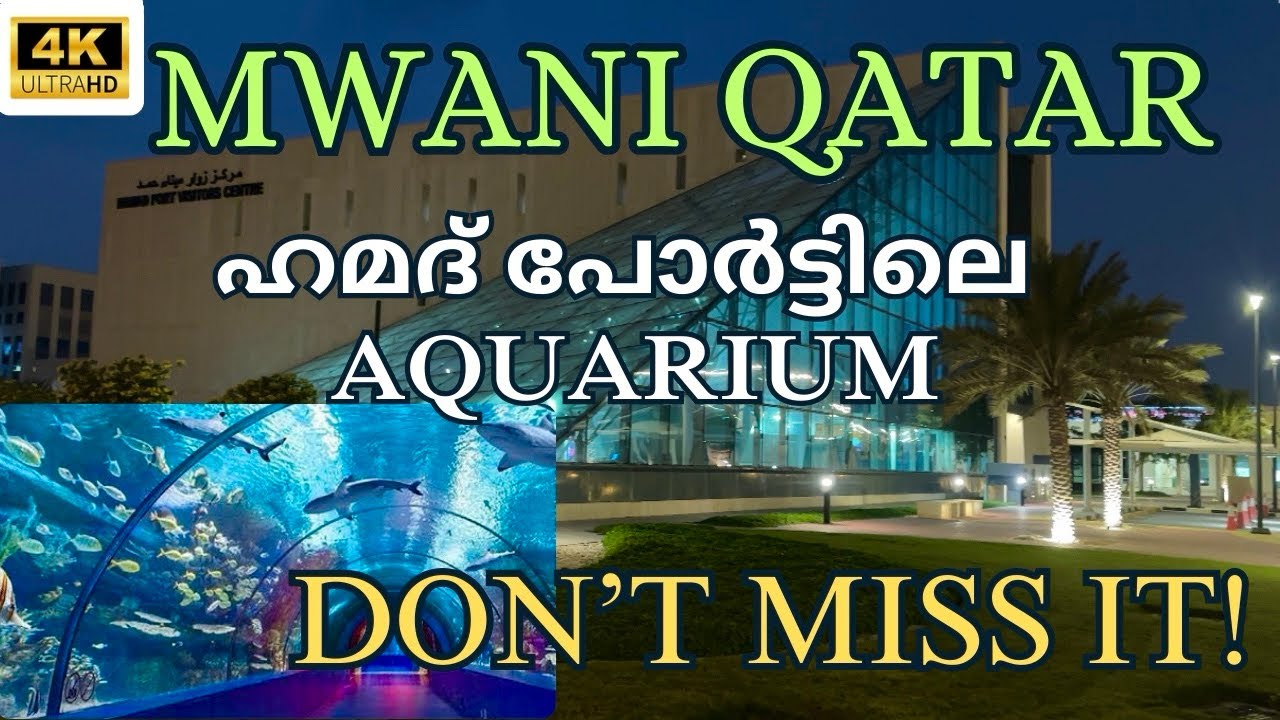 ഖത്തറിന്റെ ആളികയറ്റവും ഹമദ് പോർട്ടിന്റെ ചരിത്രവും||Hamad Port Visitors Centre@TravelWithAnil8154
