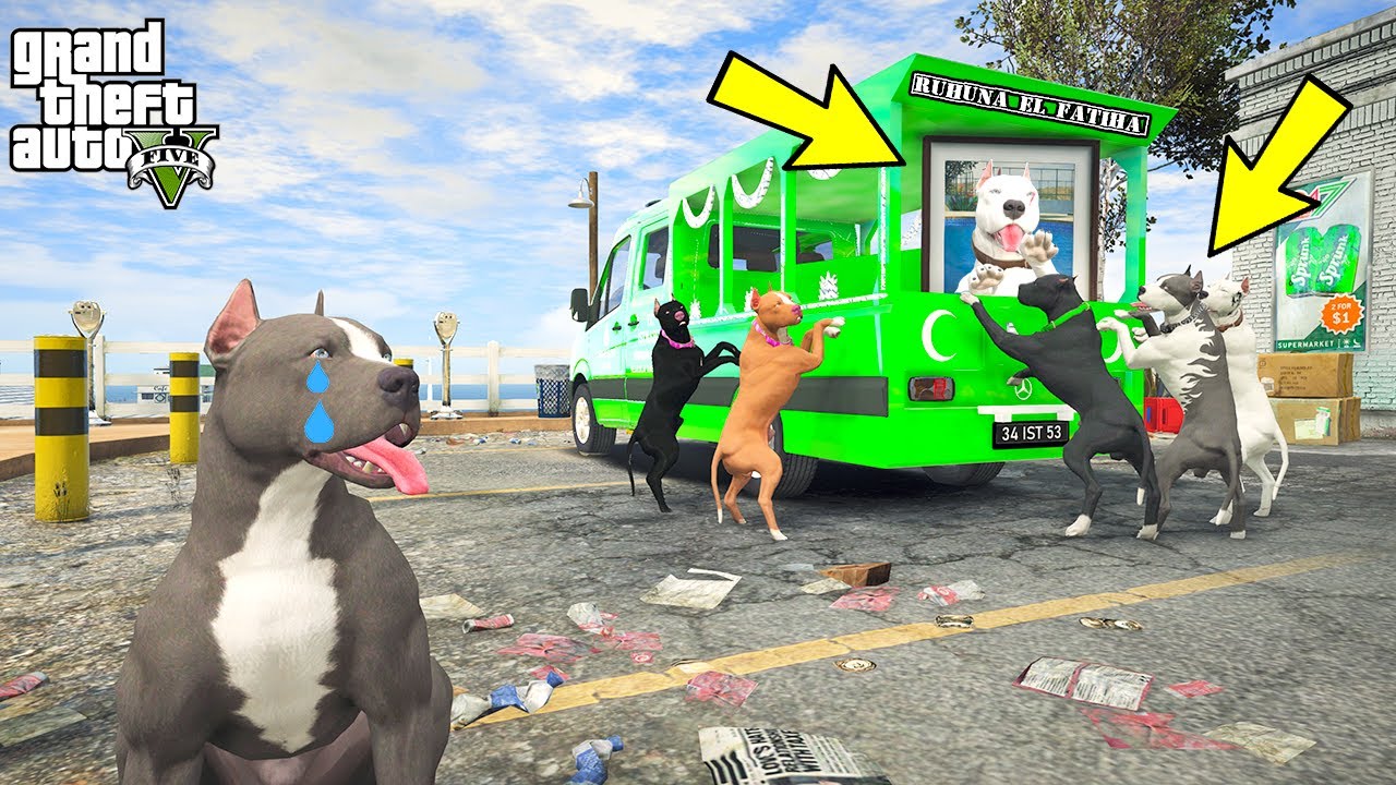 YAVRU PİTBULL BABASI BEYAZ PİTBULL JACK'İ KAYBETTİ! - GTA 5