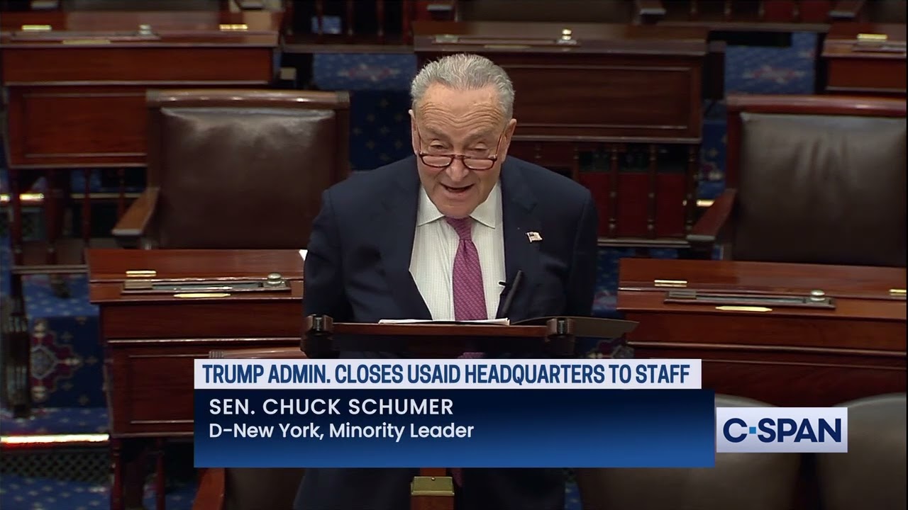 Sen. Schumer on DOGE: 