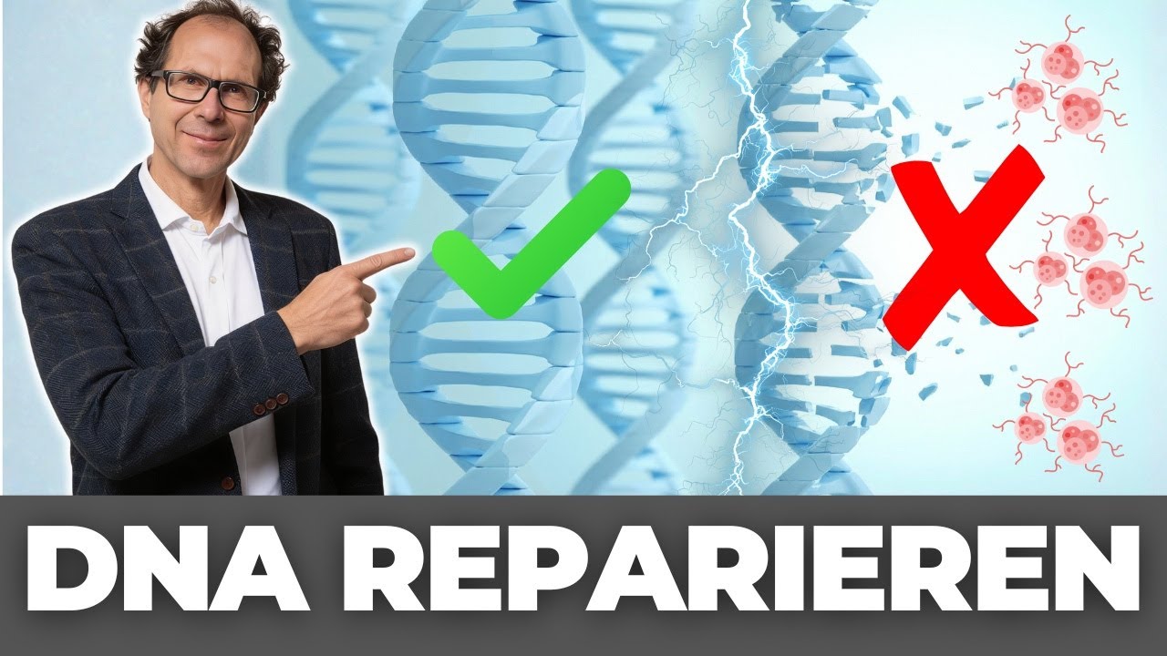 DNA-Schäden reparieren – bevor Krebs entsteht