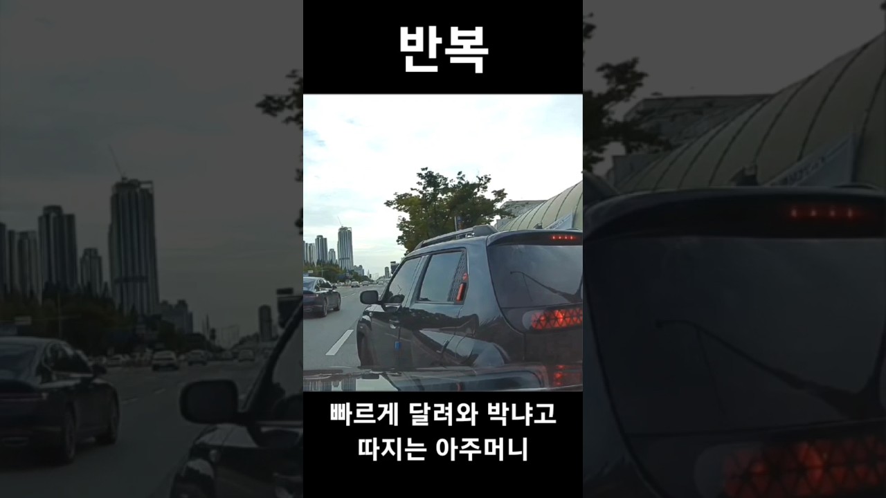 #블랙박스 대인없이 100대0 얘기중