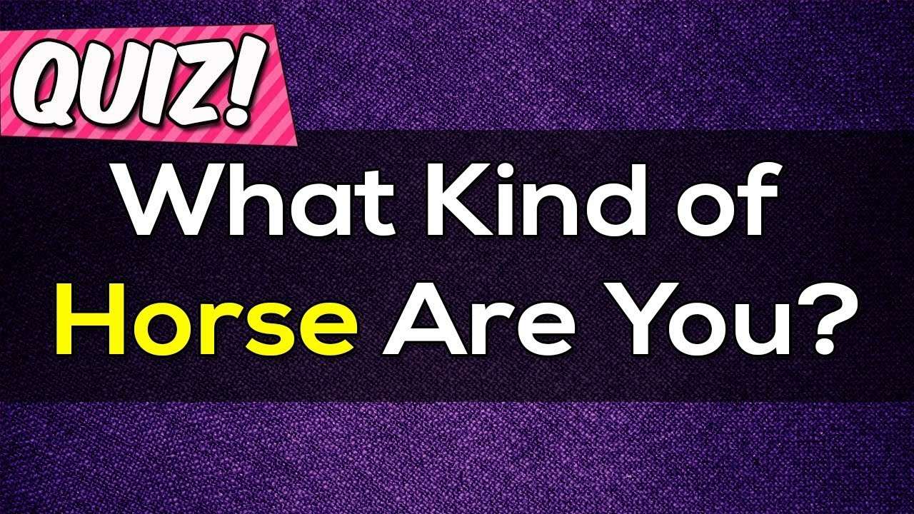 What Kind of Horse Are You? Personality Test | PickOne Quiz