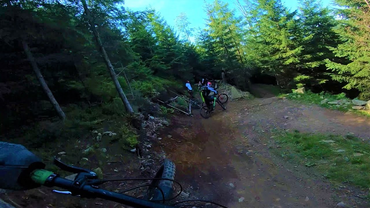 Red Lesni trail - Dolni Morava - 08.2023