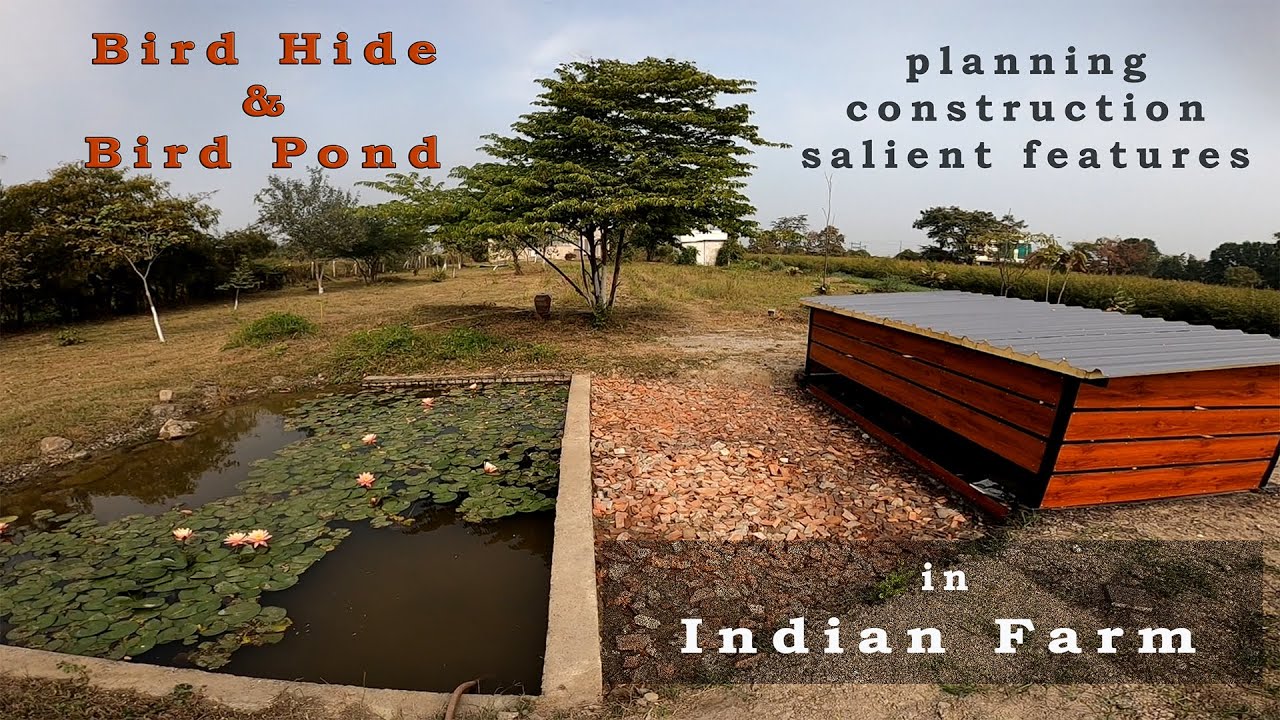 Building a Photographic Bird Hide at an Indian Farm