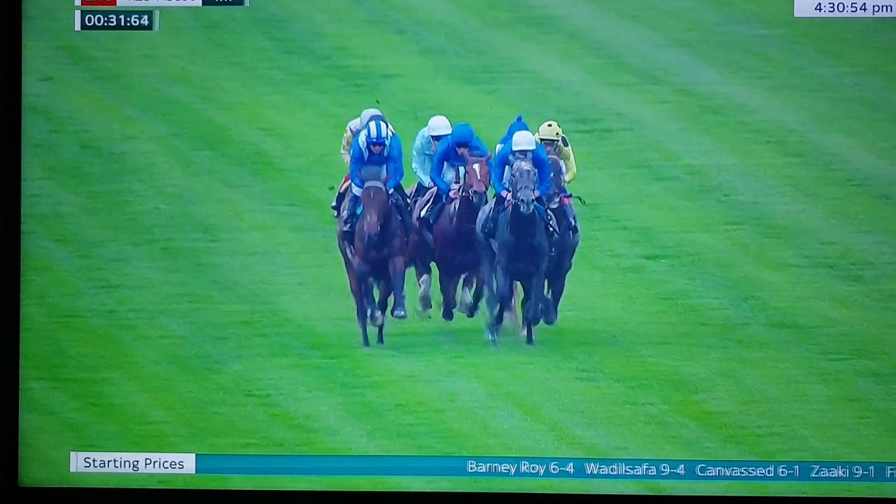 Zaaki-Ascot 2019-Barney Roy beaten favourite