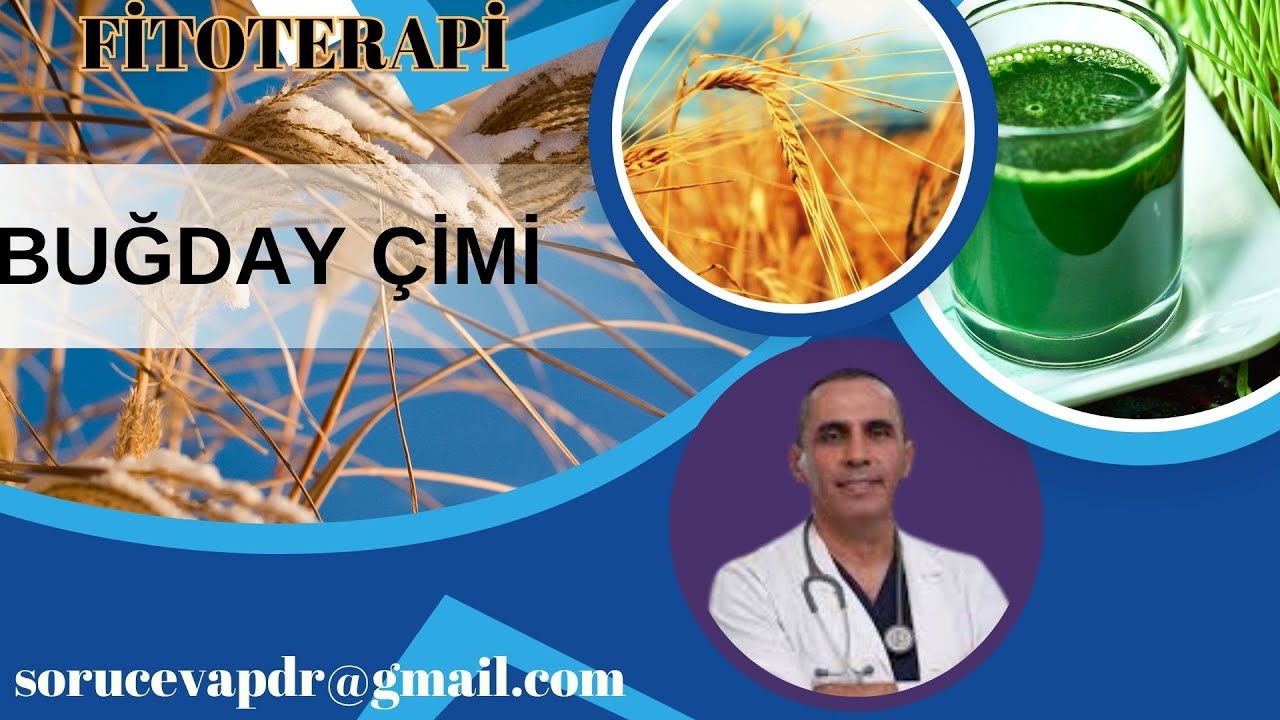 Buğday Çimi Vücudu Nasıl Etkiler?