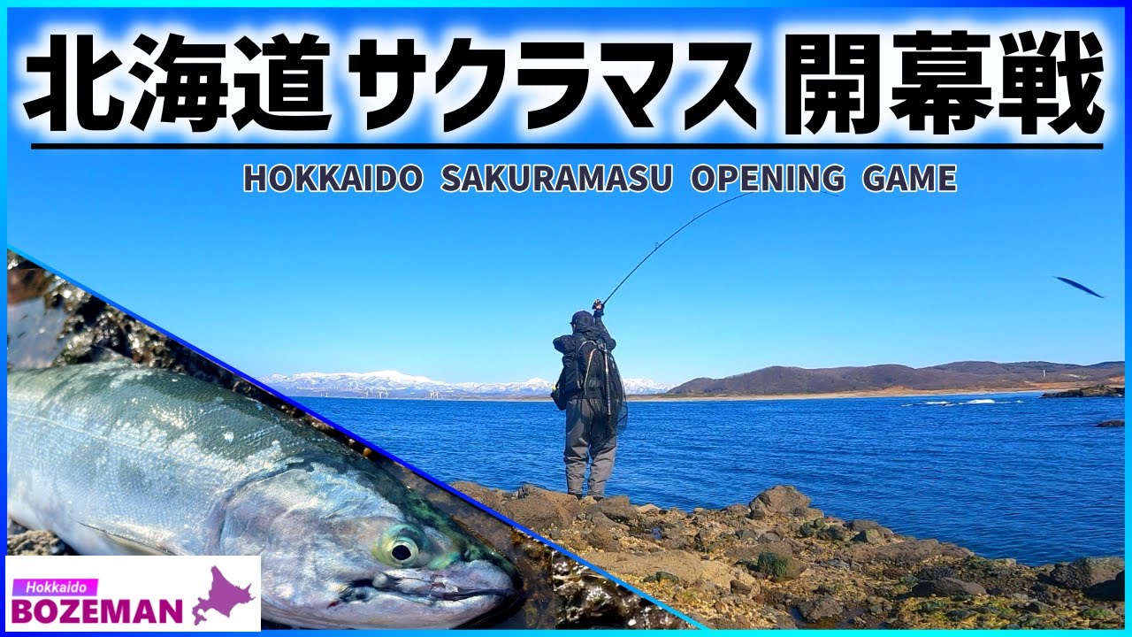 海サクラマス！シーズン開幕戦！最後のポイントで絞りだした一本！【北海道釣り】【サクラマス釣り】