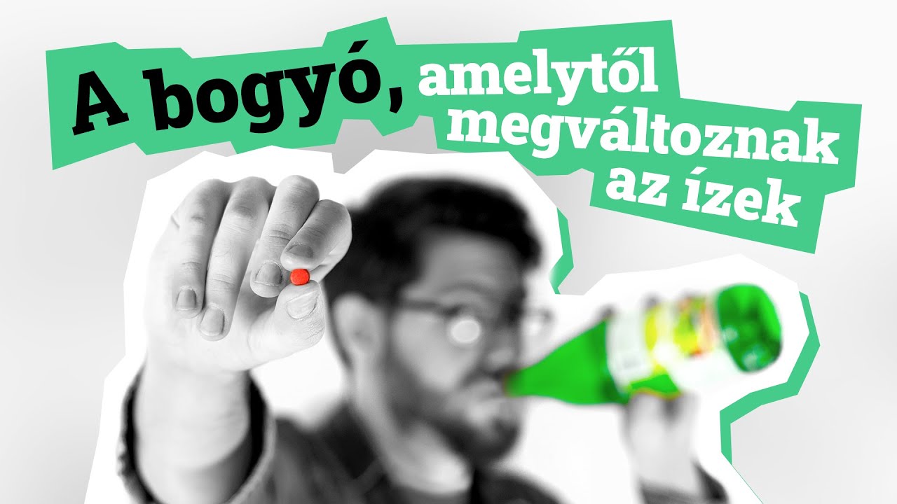 A bogy&oacute;, amelytől megv&aacute;ltoznak az &iacute;zek 🍋😝 @tanulommagam @LatinPapucs @ungdani @Korcsvil&aacute;g