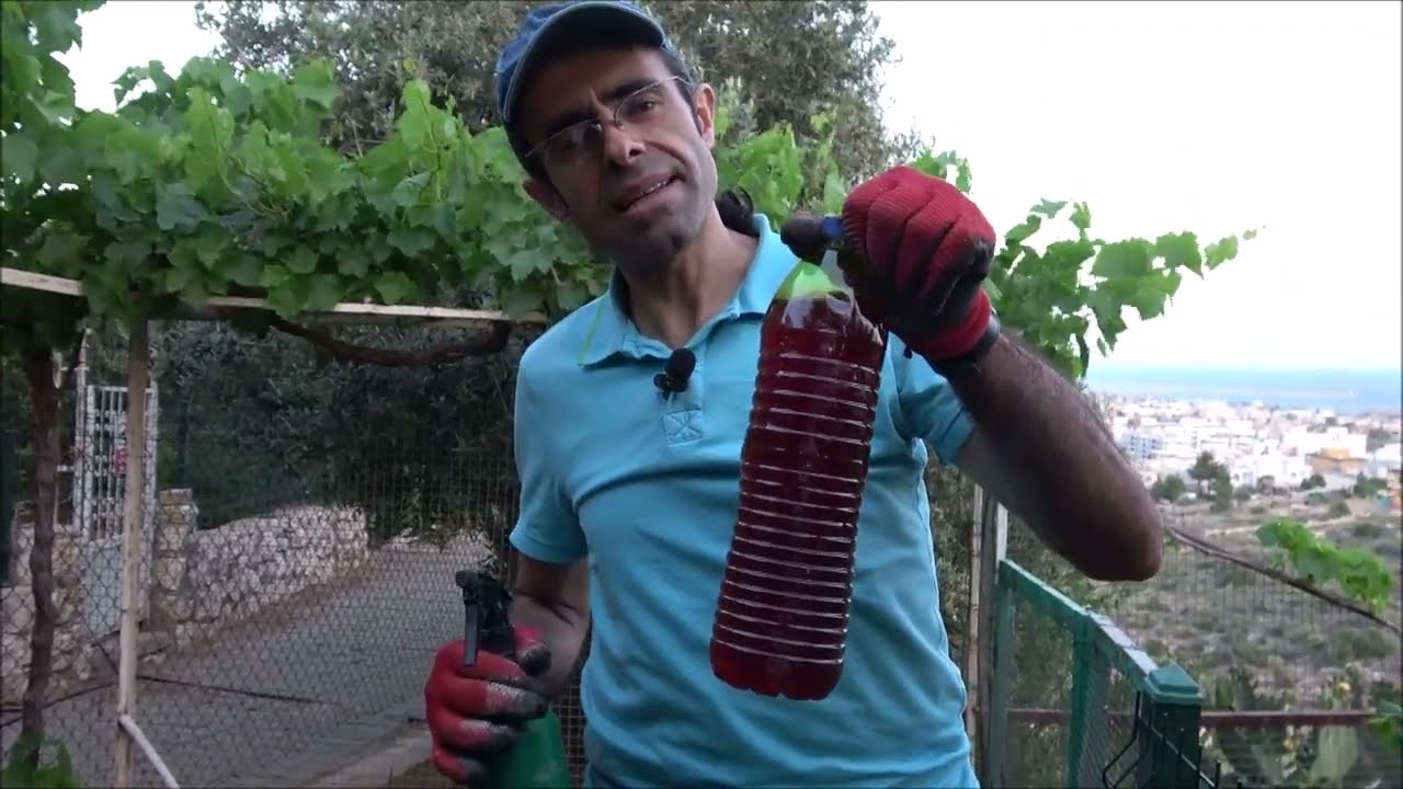Fidelerin Dostu Gülleci Bulamacı