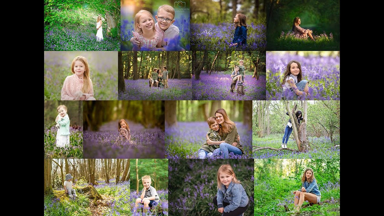 Bluebell Photography Inspiration from a collective of UK Photographers : Part 2