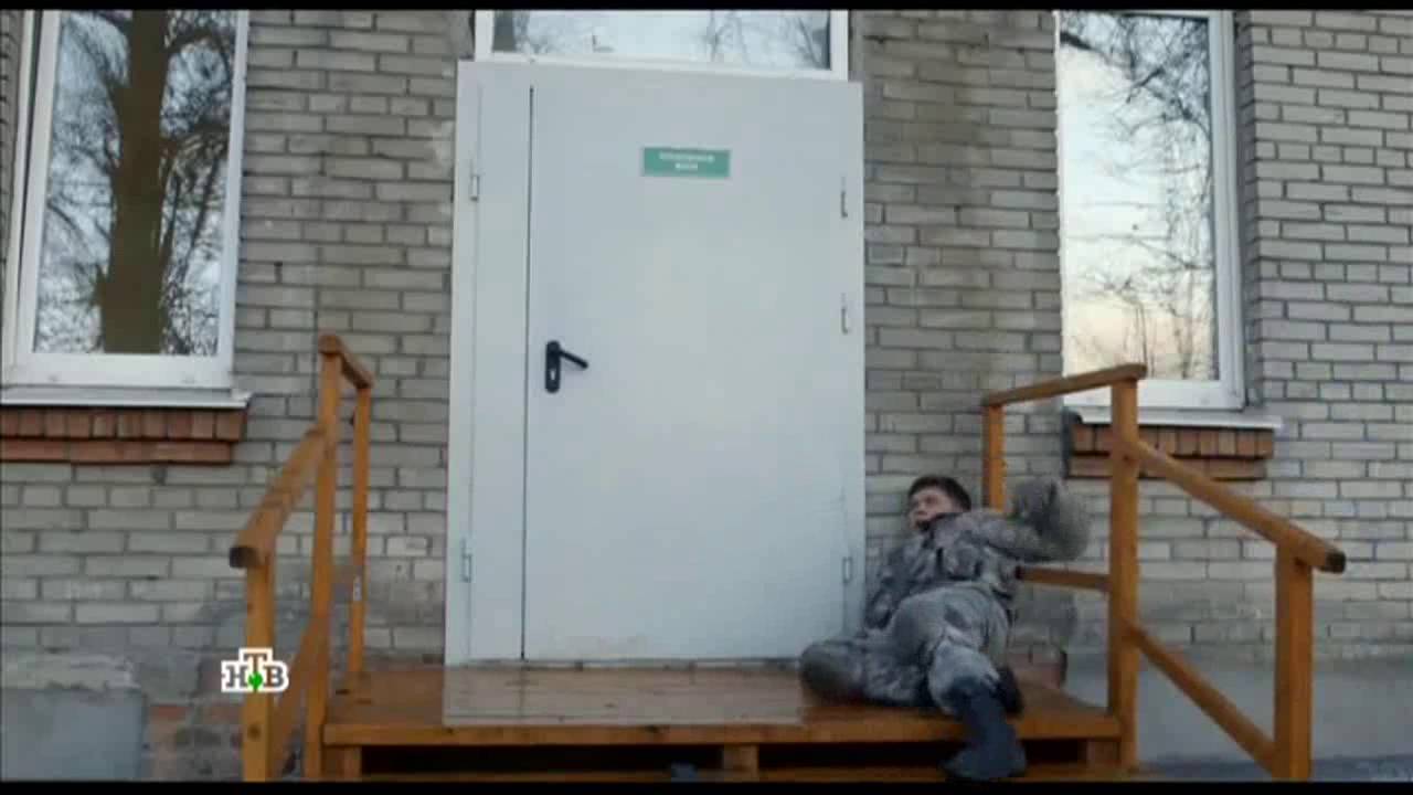 Кот Я Жив