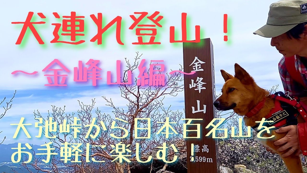 【犬連れ登山！】金峰山編。大弛峠から日本百名山をお手軽に楽しむ！
