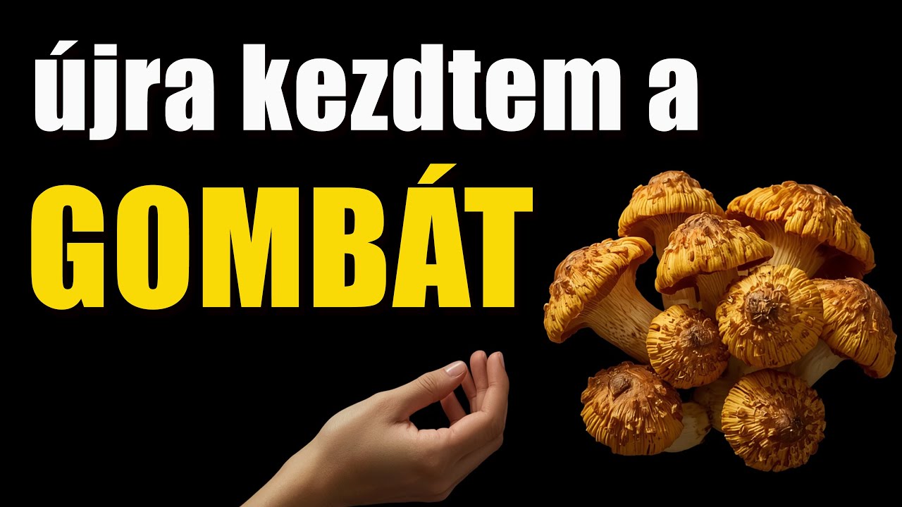 🍄&zwj;🟫 🍄&zwj;🟫  2 gomba tr&uuml;kk: r&aacute;kmegelőző, antioxid&aacute;ns, &eacute;s sz&iacute;v v&eacute;dő hat&aacute;s - te mikor ett&eacute;l utolj&aacute;ra?