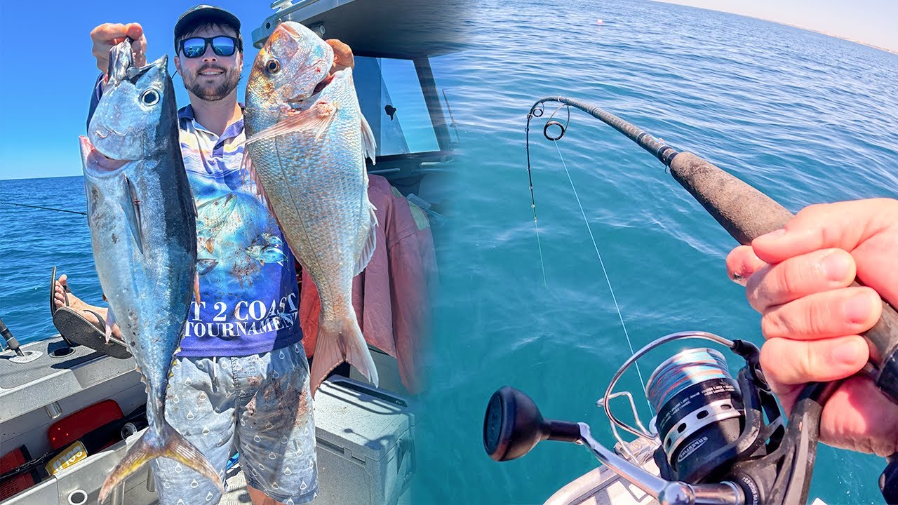 Bluefin on Popper | Snapper & Gummy Shark Session | South Australia Summer Fishing Action