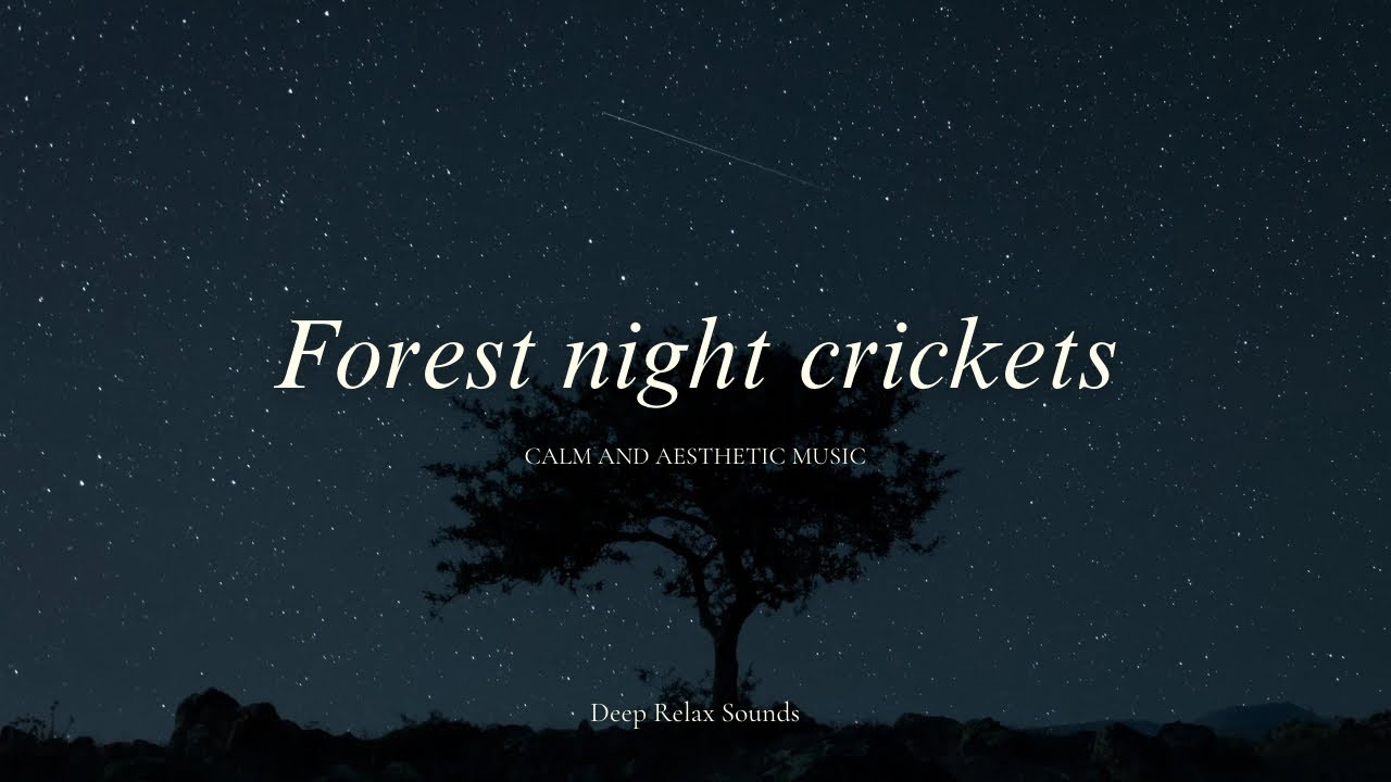 Forest Night crickets for Deep Sleep