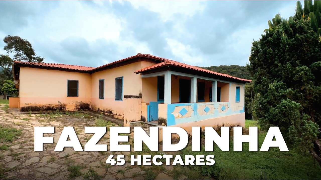 FAZENDINHA 45 HECTARES A VENDA, BOA ESTRUTURA PARA PECUÁRIA