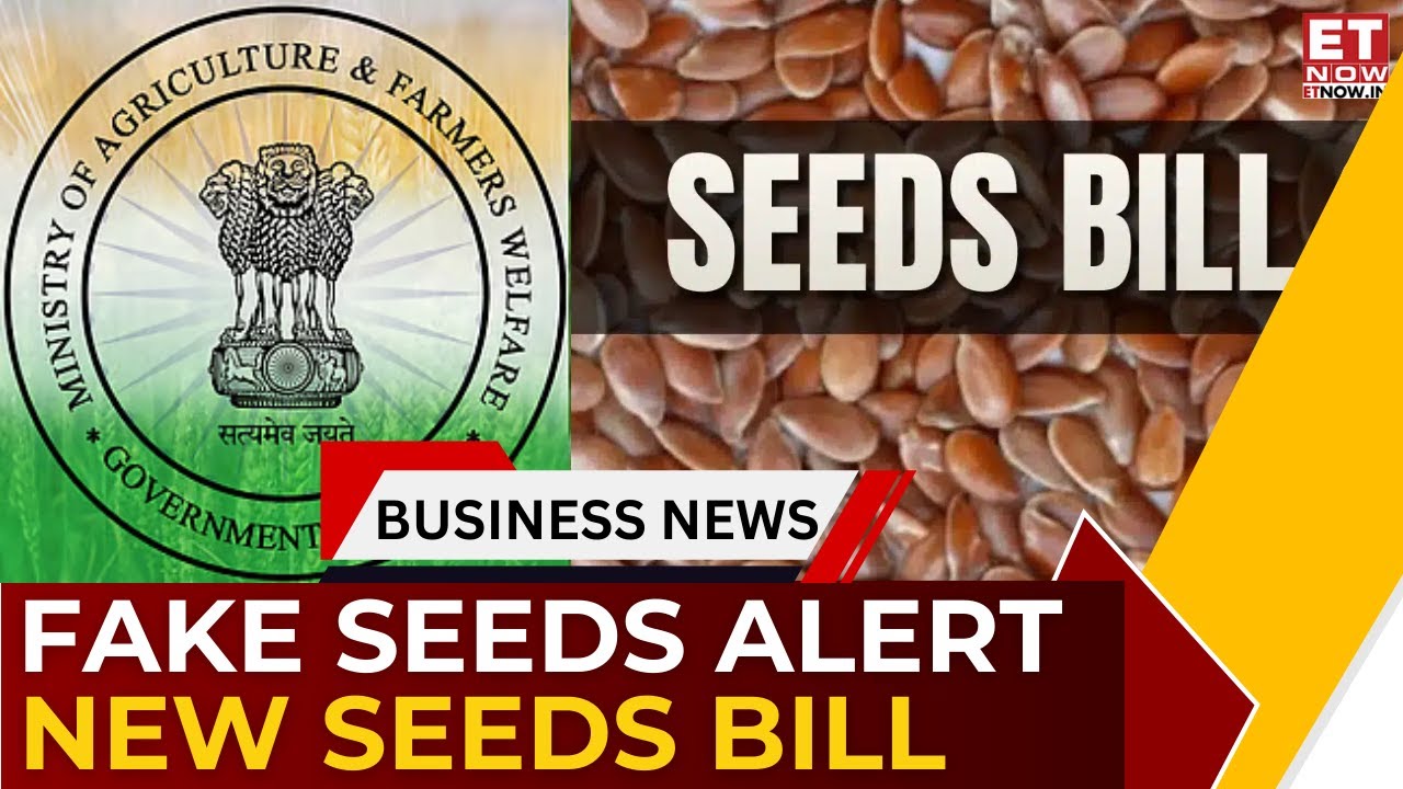 Govt Crackdown on Duplicate Seeds: New Bill Likely in Parliament To Curb Fake, Substandard Seeds