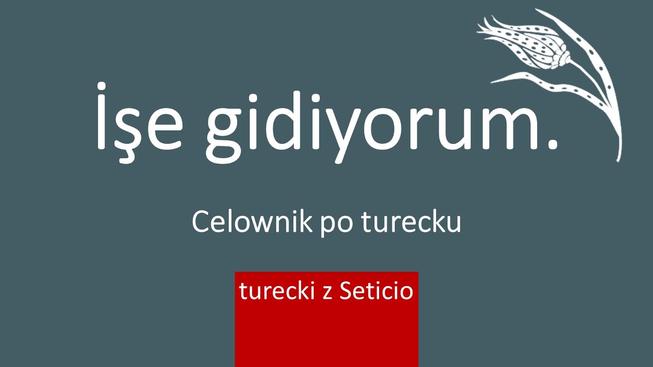 22. Celownik, dativ (yönelme durumu) - Turecki z Seticio - Lekcja 22