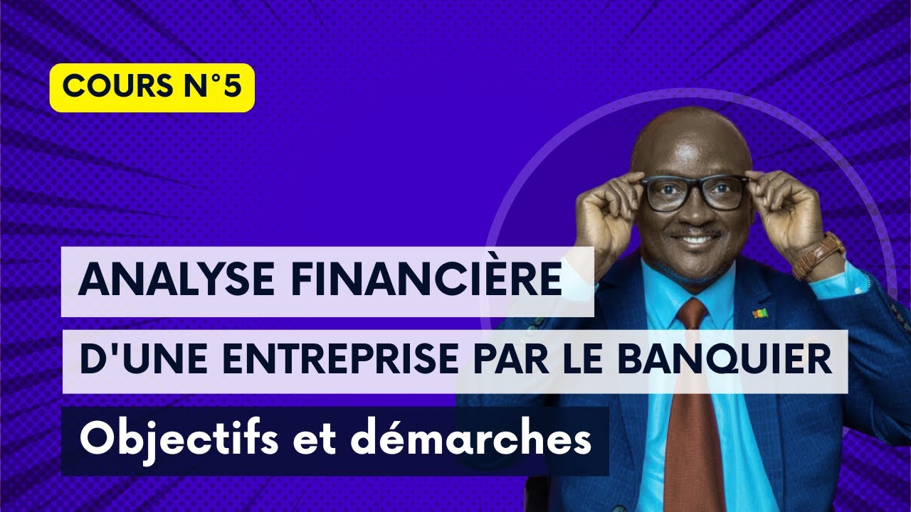 COURS N°5 : Objectifs et démarche de l'analyse financière par le banquier