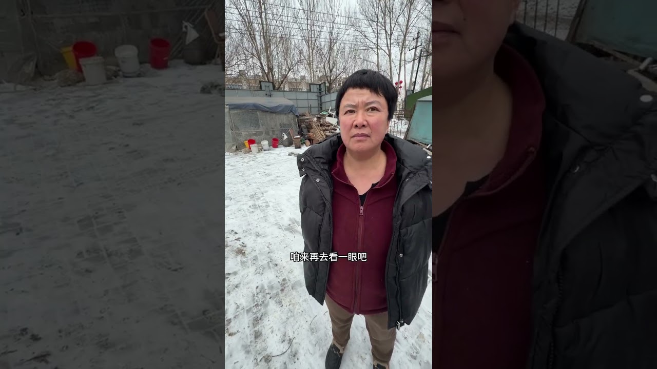 Seven cubs oh my god The Calabash Brothers#Daily vlog#My rural life#Rural life