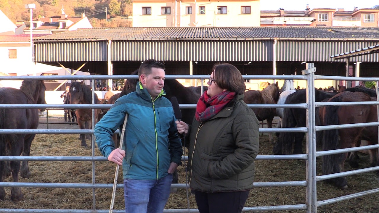 Entrevista a Carlos Caleyín / El Campo de Asturias