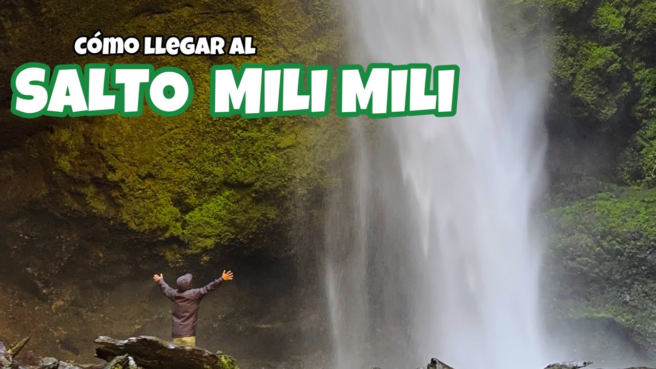 EL SALTO MILI MILI único en chile