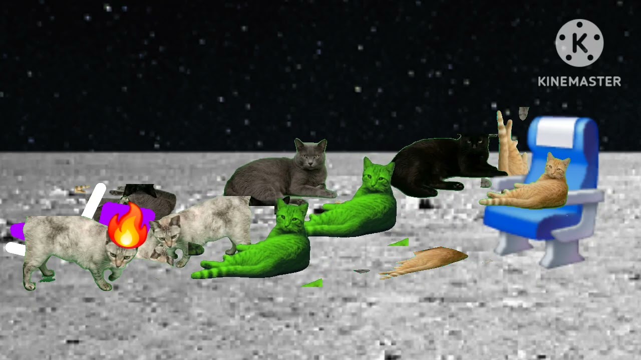 Dumb ways to die portal but cats 