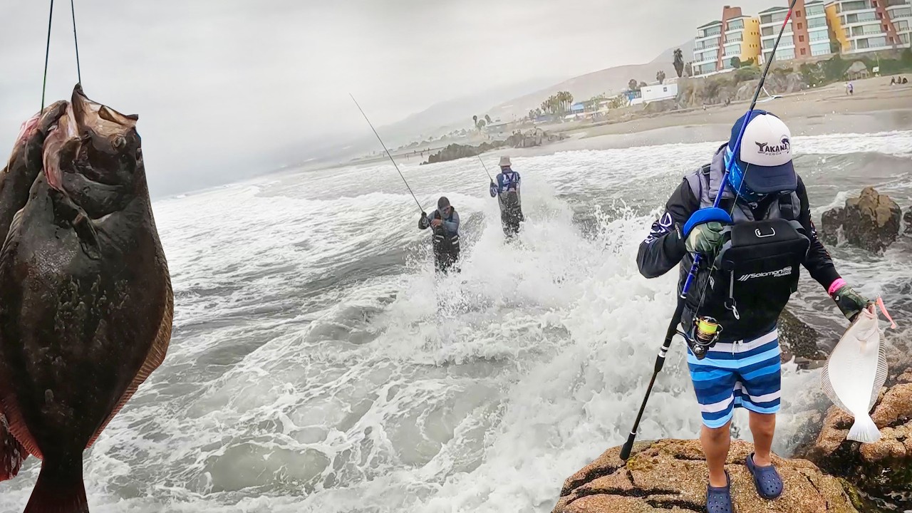 Un torneo con muchas capturas en zona de rocas - Mejia 2024