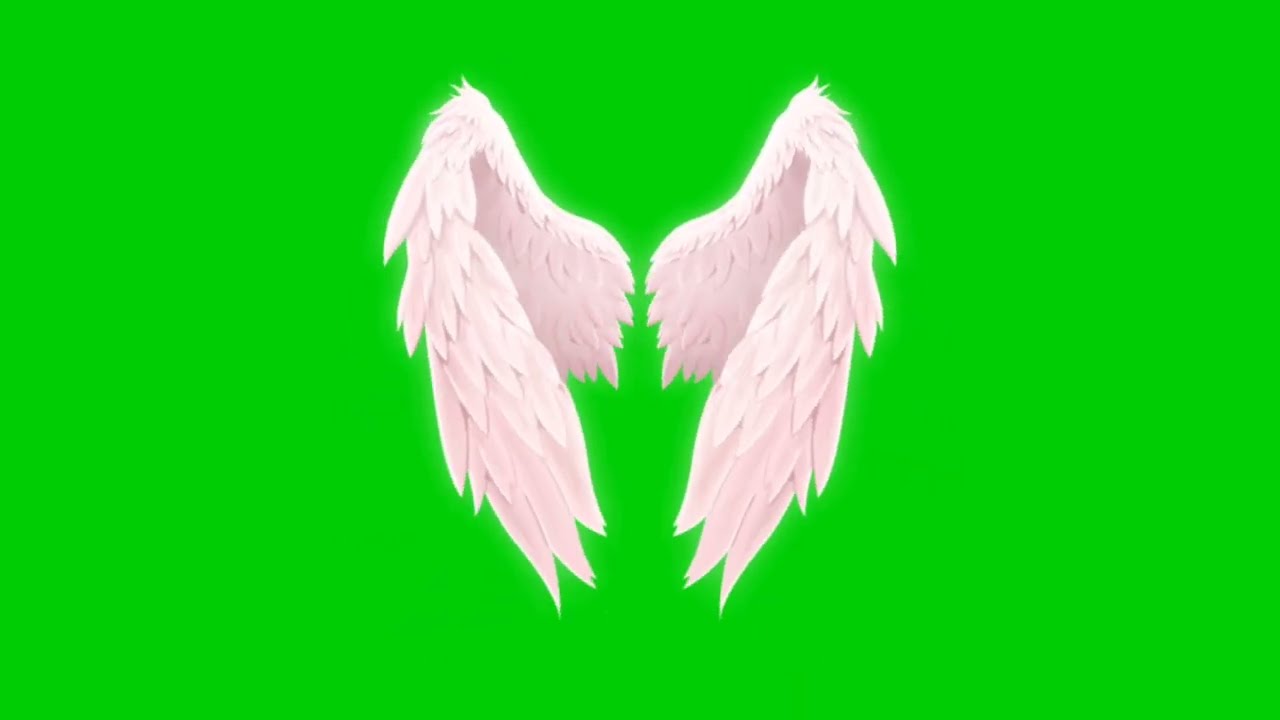 Flying Wings Green Screen Video Free