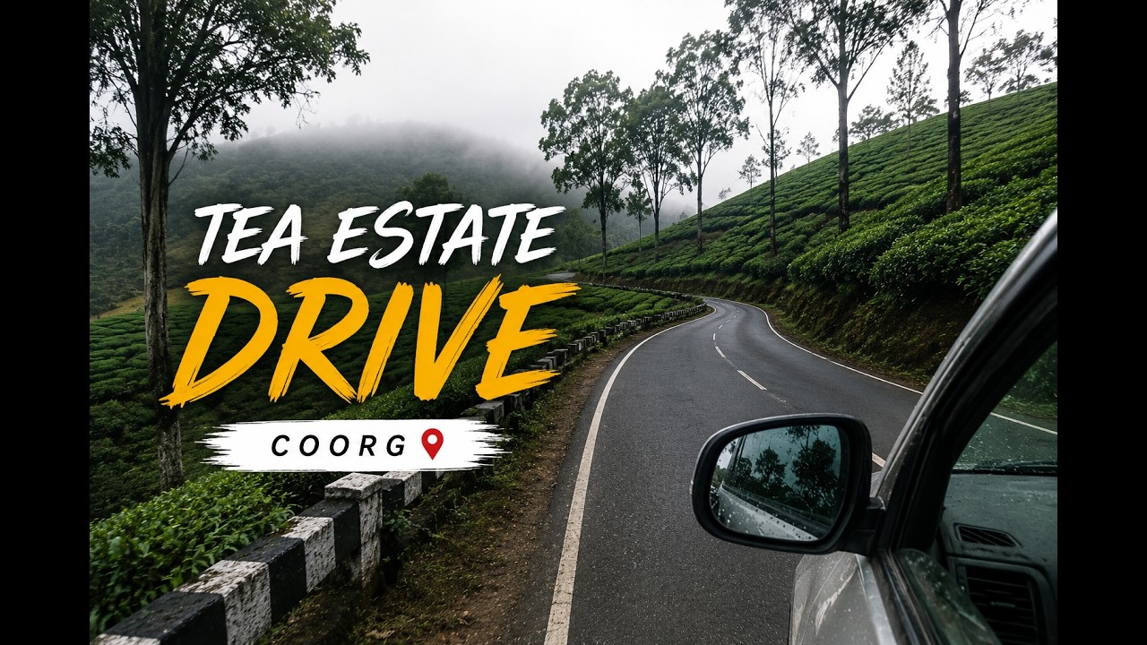 Car Ride Through Tea Estate Coorg