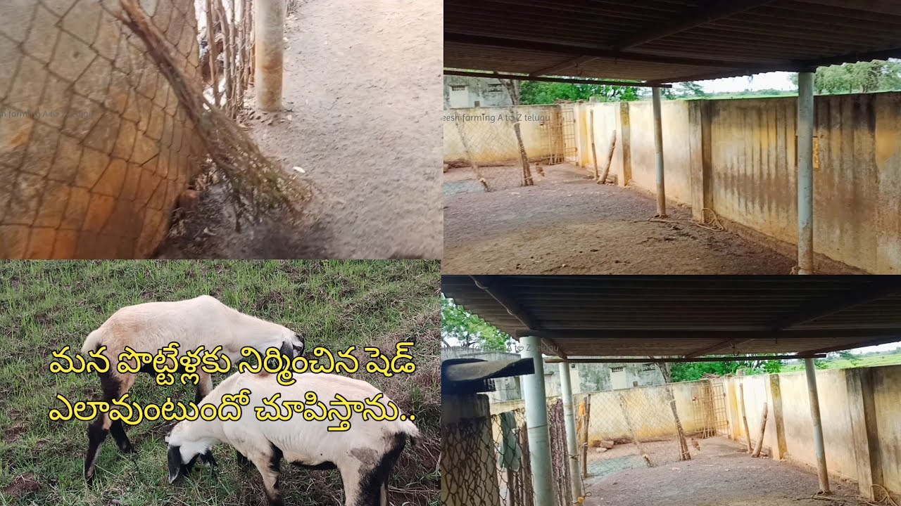 how is my shed construction /please tell me comment /please subscribe