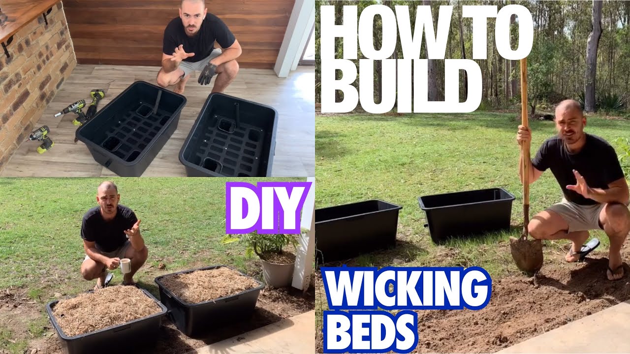 How to Build a DIY Wicking Bed with Hoocho